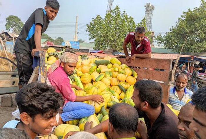 বগুড়ার মহাস্থানে মৌসুমি ফল বাঙ্গি কিনতে ক্রেতাদের ভিড়