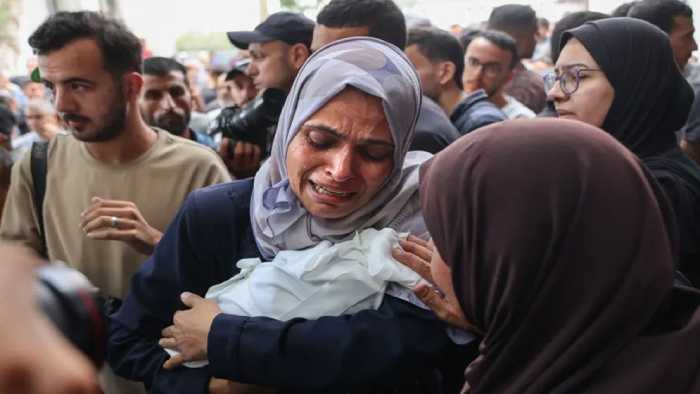 gaza-7d (1)