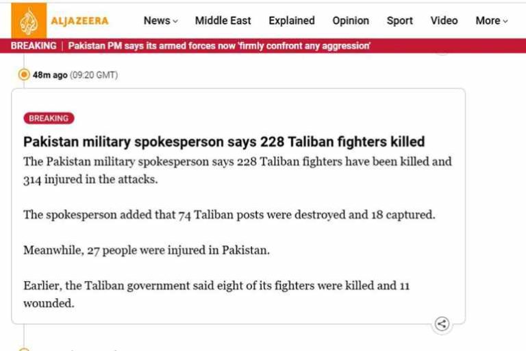 পাকিস্তানের হামলায় ২২৮ তালেবান যোদ্ধা নিহতের দাবি